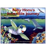 Baby Honu's Incredible Journey