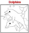 Dolphins